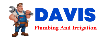 Trusted plumber in CADE